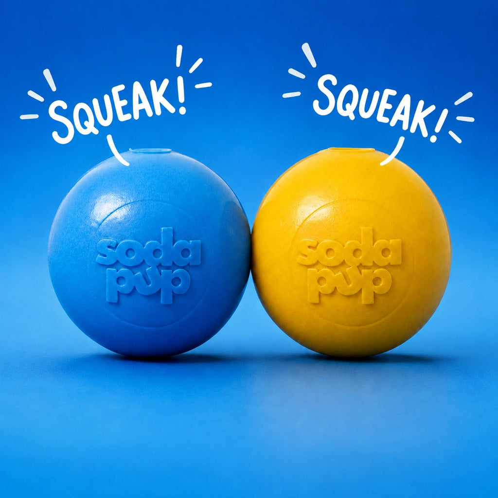 SodaPup Squeak Ball squeaky floating dog toy – photo 1 of 16