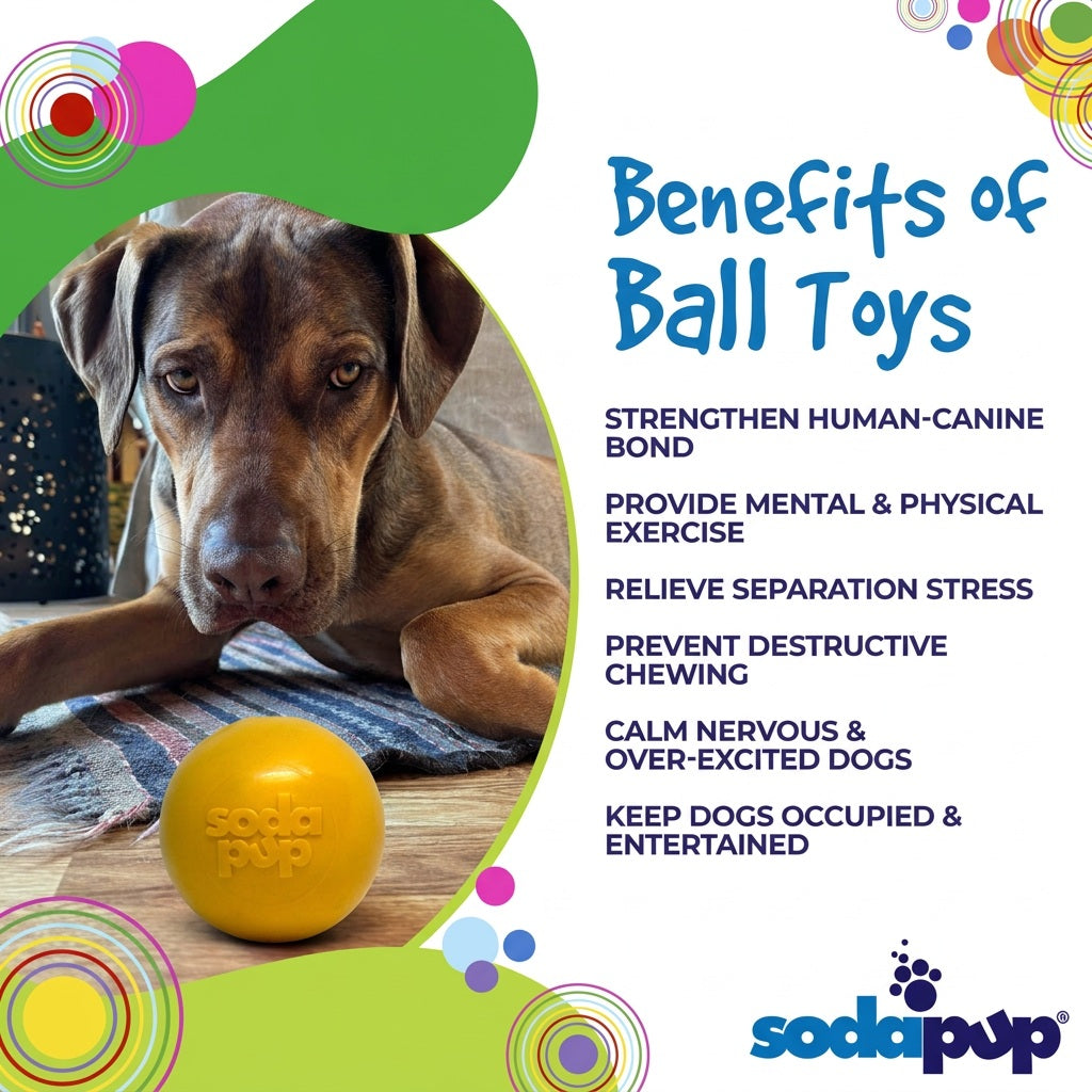 SodaPup Squeak Ball squeaky floating dog toy – photo 7 of 16