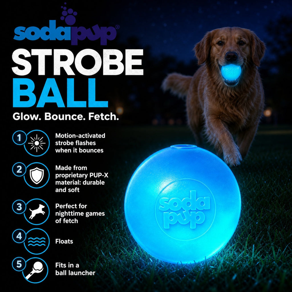 SodaPup Strobe Ball light-up floating dog ball toy – photo 3 of 9