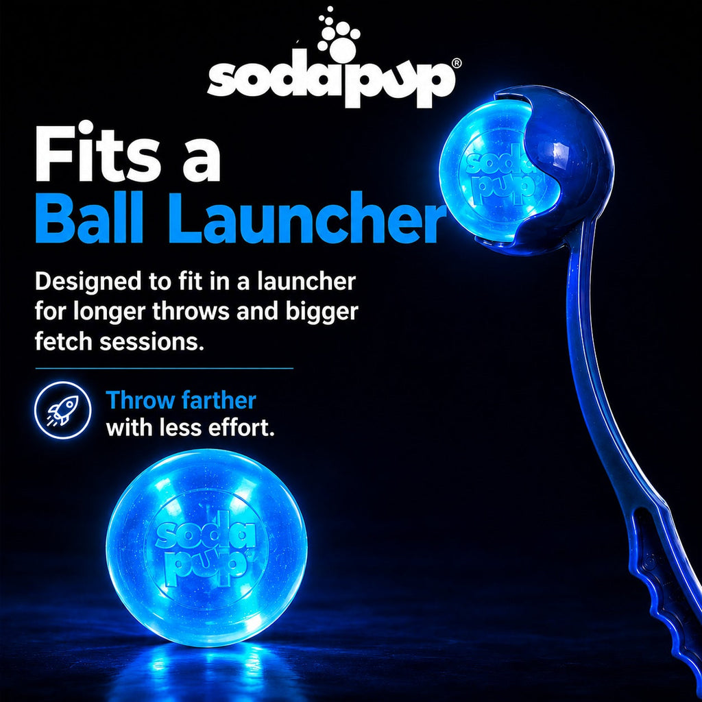 SodaPup Strobe Ball light-up floating dog ball toy – photo 6 of 9