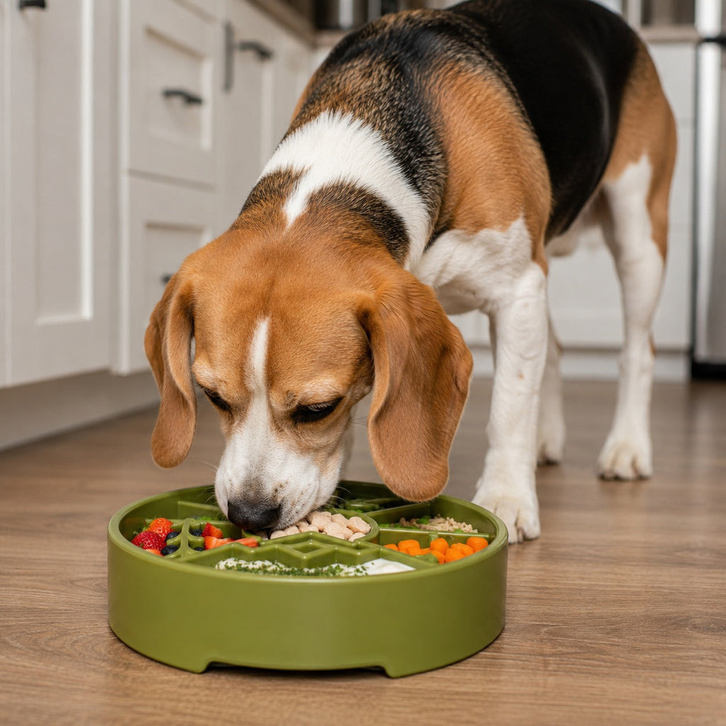 Great Outdoors Slow Feeder Dog Bowl – Enrichment, USA Made – alternate view 12