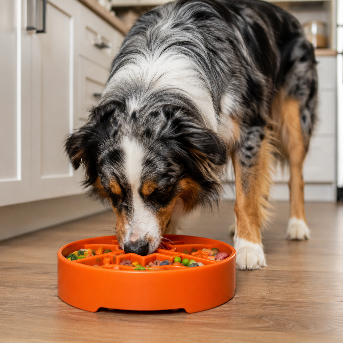 Great Outdoors Slow Feeder Dog Bowl – Enrichment, USA Made – alternate view 10