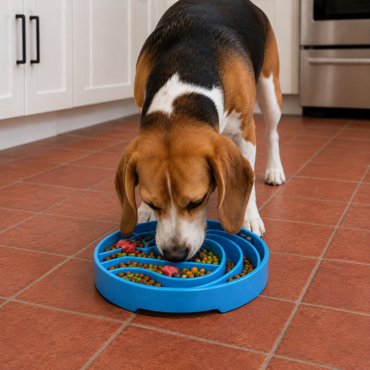 SodaPup Baja eTray – Shallow Slow Feeder Dog Bowl, USA Made – alternate view 10