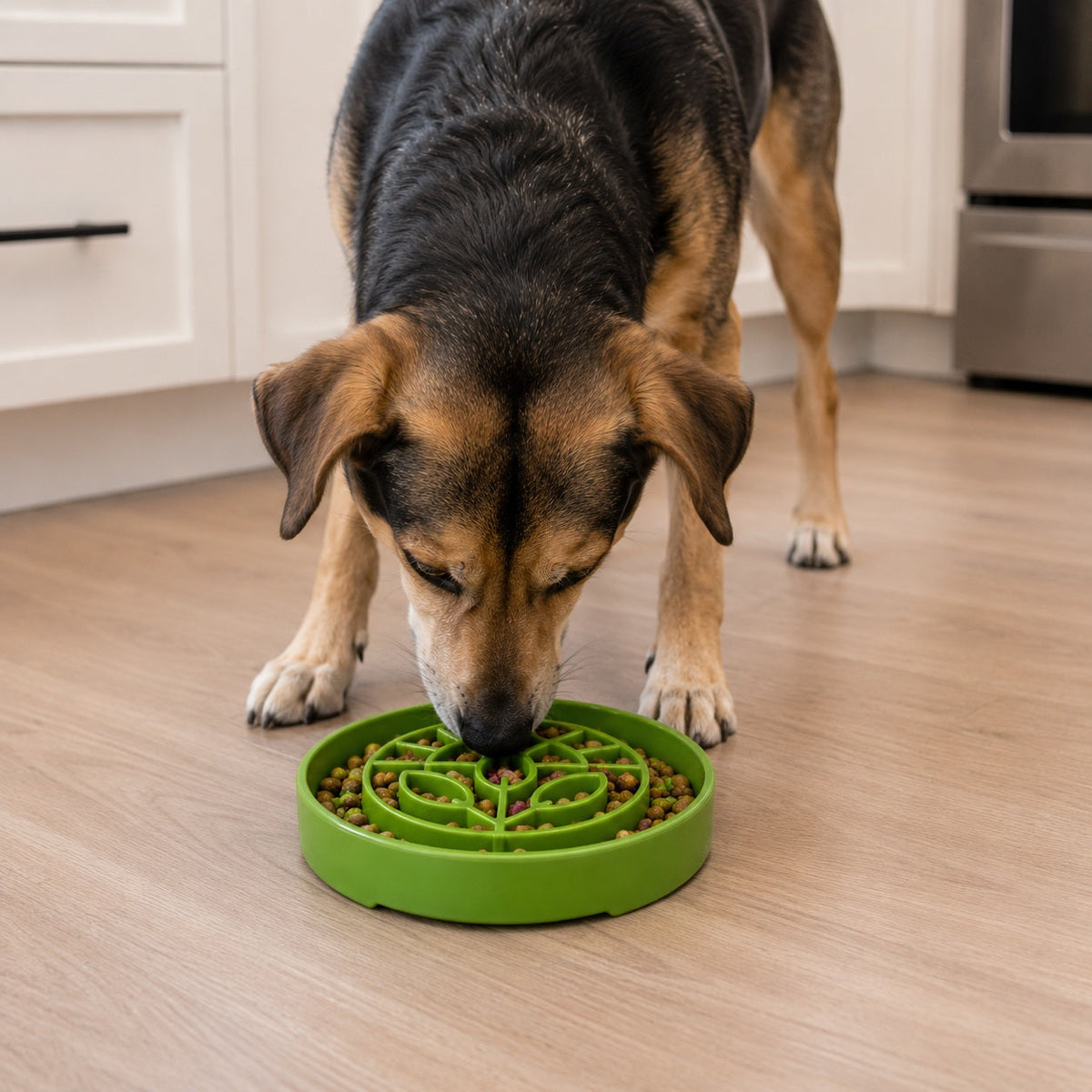 SodaPup Garden eTray – Shallow Slow Feeder Bowl – alternate view 6