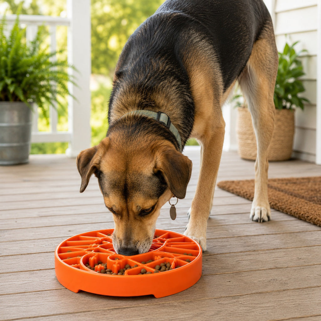 Sun and Moon Shallow Slow Feeder Dog Bowl – Enrichment, USA Made – alternate view 12