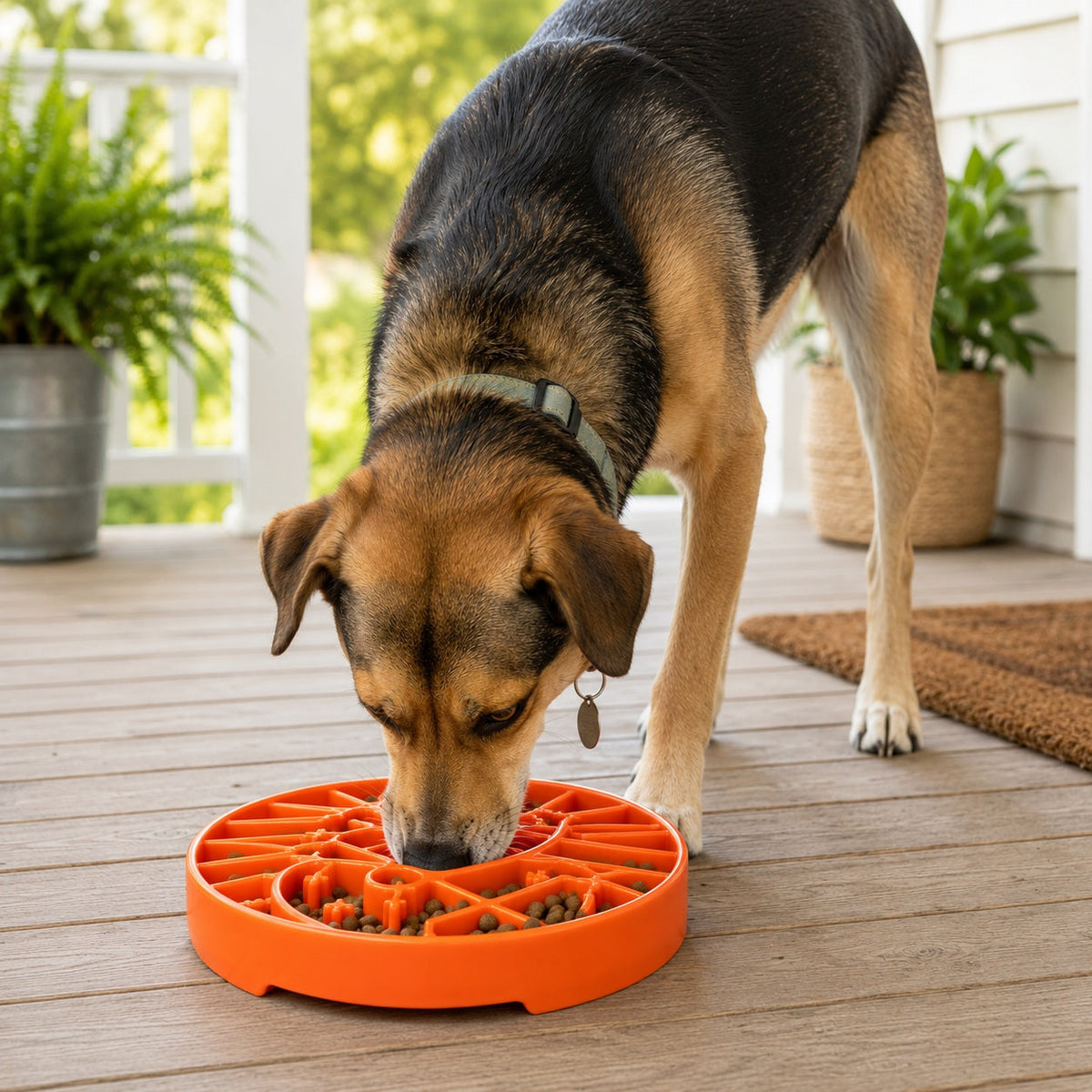 Sun and Moon Shallow Slow Feeder Dog Bowl – Enrichment, USA Made – alternate view 12