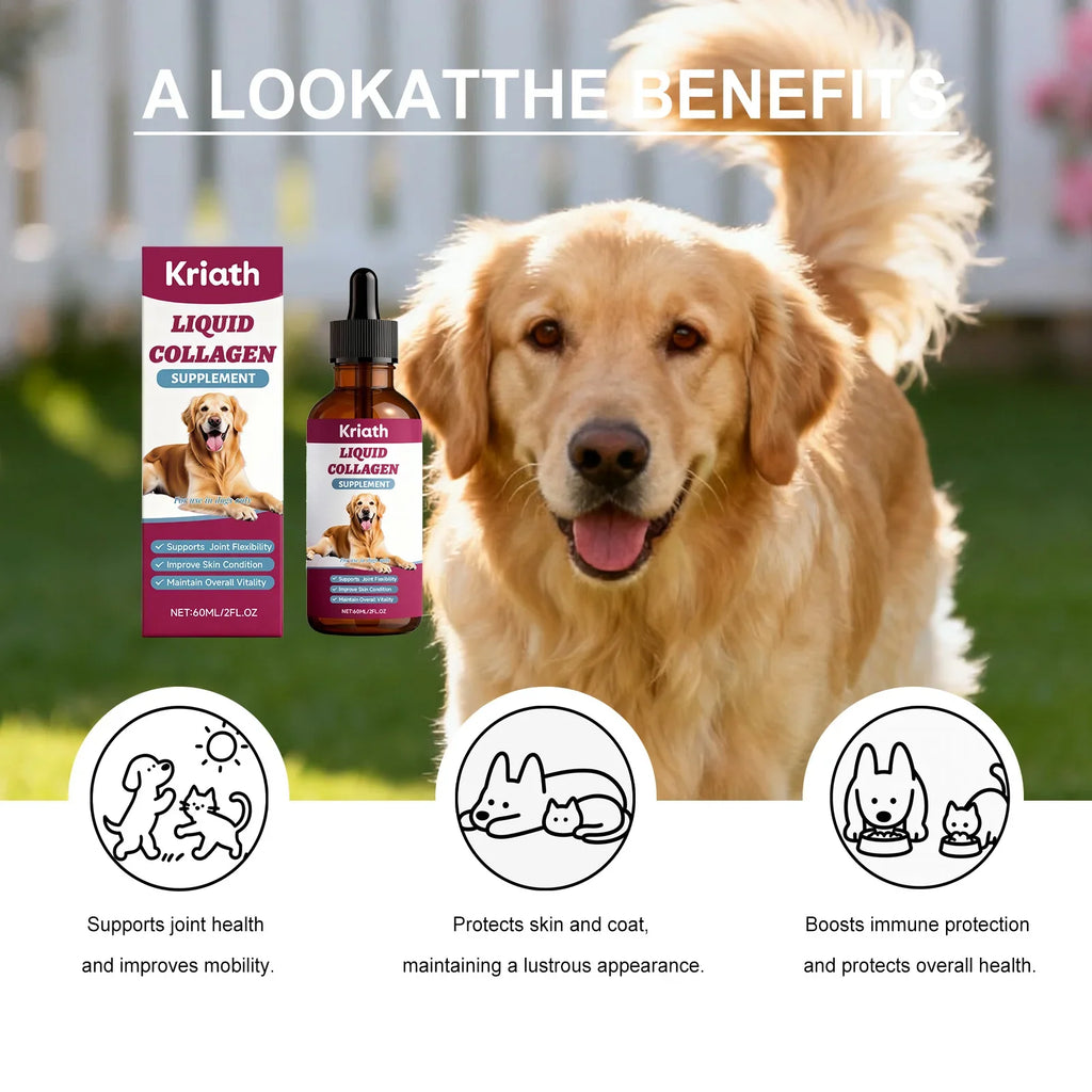 Kriath collagen nutritional drops liquid supplement for dogs – 60 ml bottle – photo 3 of 6