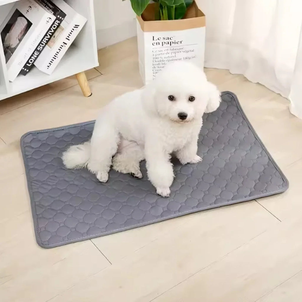 Reusable Washable Dog Pee Pad – Waterproof Absorbent Mat – alternate view 2