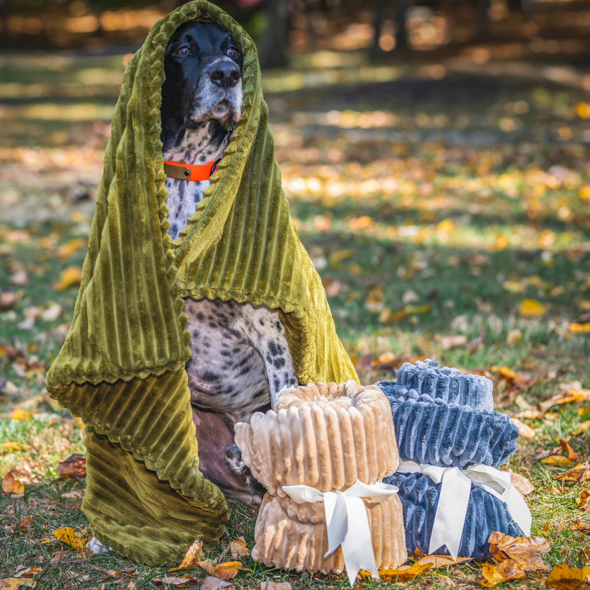 Scout Blankie Double-Sided Plush Dog Blanket, view 14