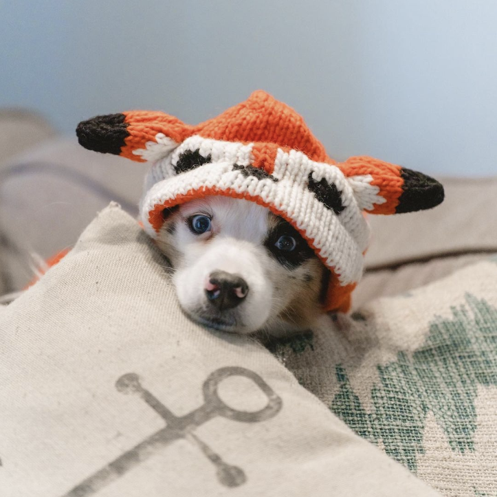 Foxy Hoodie Dog Sweater Red Fox Design – photo 2 of 5