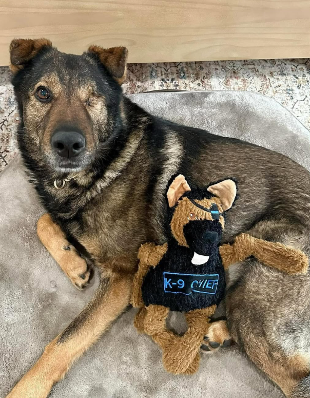 HuggleCause Project K-9 Hero K-9 Chief Knottie Plush Dog Toy Large, close-up