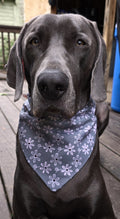 Every Day Dog Bandanas – front view
