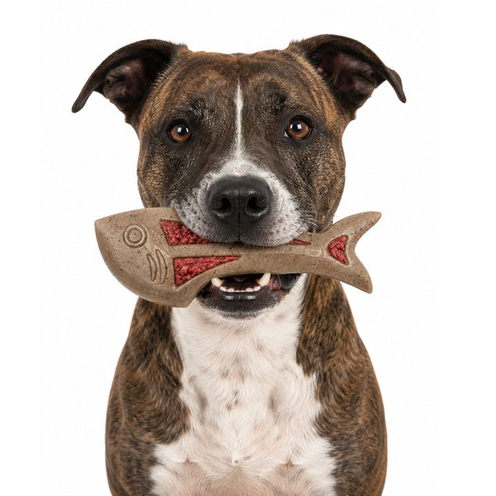 SodaPup Dog Fish nylon chew and enrichment toy – photo 2 of 8