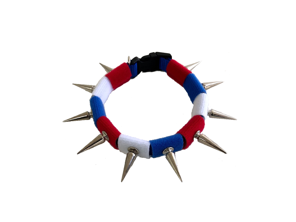 CoyoteCollar – Protective Dog Collar – alternate view 10