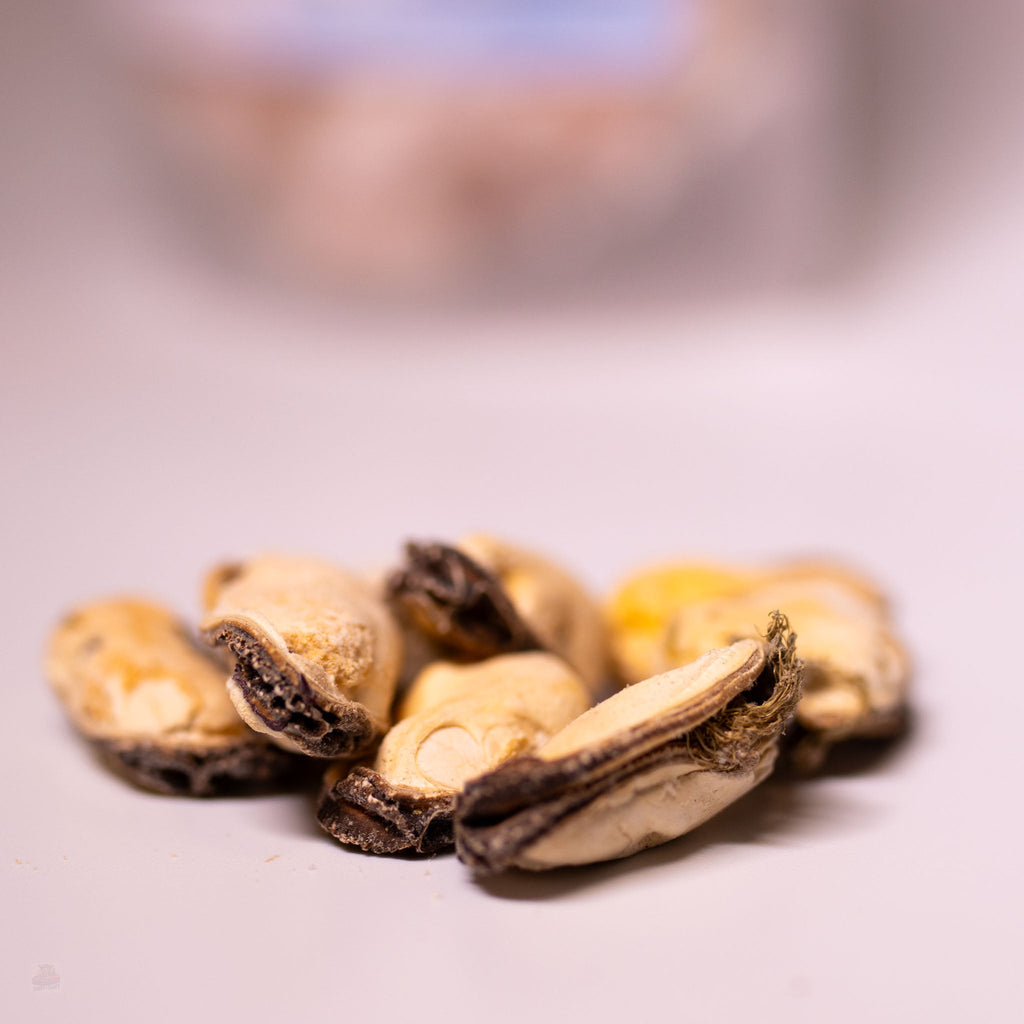 Freeze-Dried Blue-Lipped Mussels Dog  Cat Treats, detail view