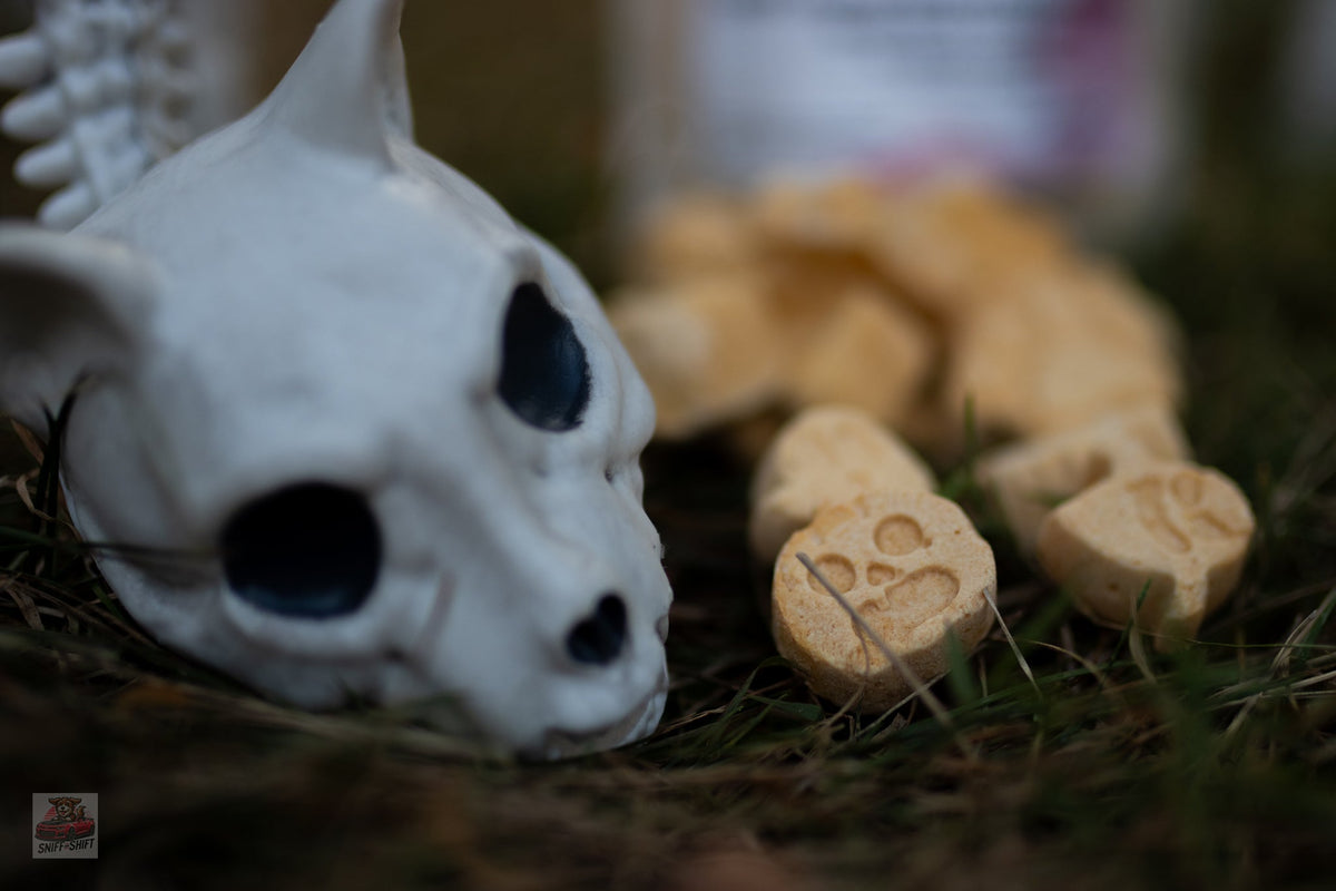 Pup-Ornaut Freeze-Dried Dog Ice Cream Pumpkin  Apple, side view