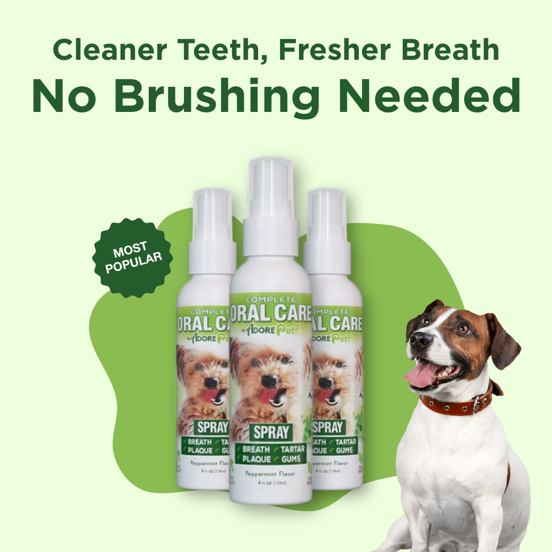 Dog Oral Care Spray – Fresh Breath & Plaque Control – alternate view 7