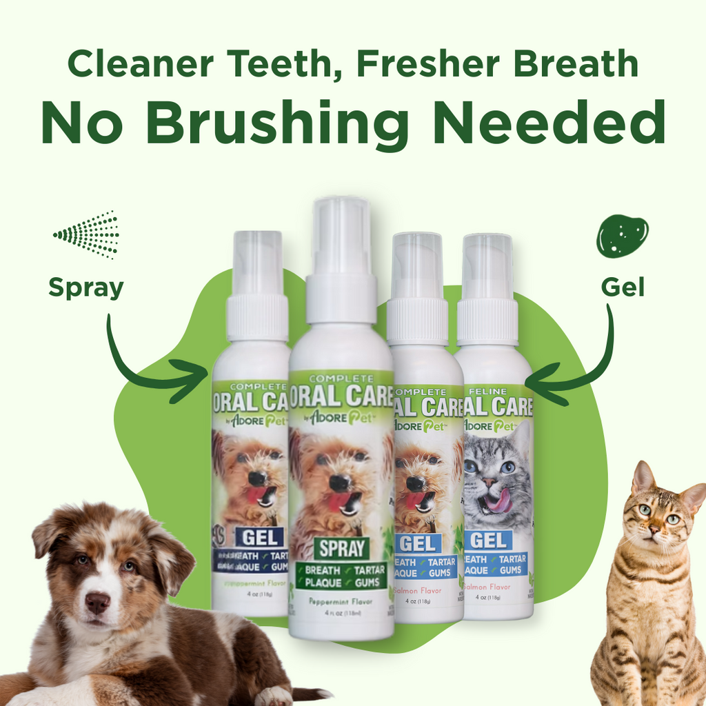 Dog Oral Care Spray – Fresh Breath & Plaque Control – alternate view 12