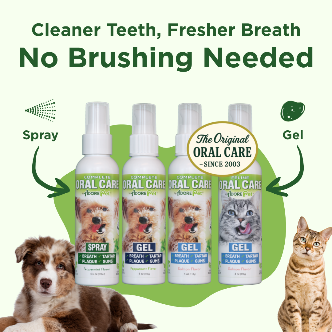 Dog Oral Care Spray – Fresh Breath & Plaque Control – front view