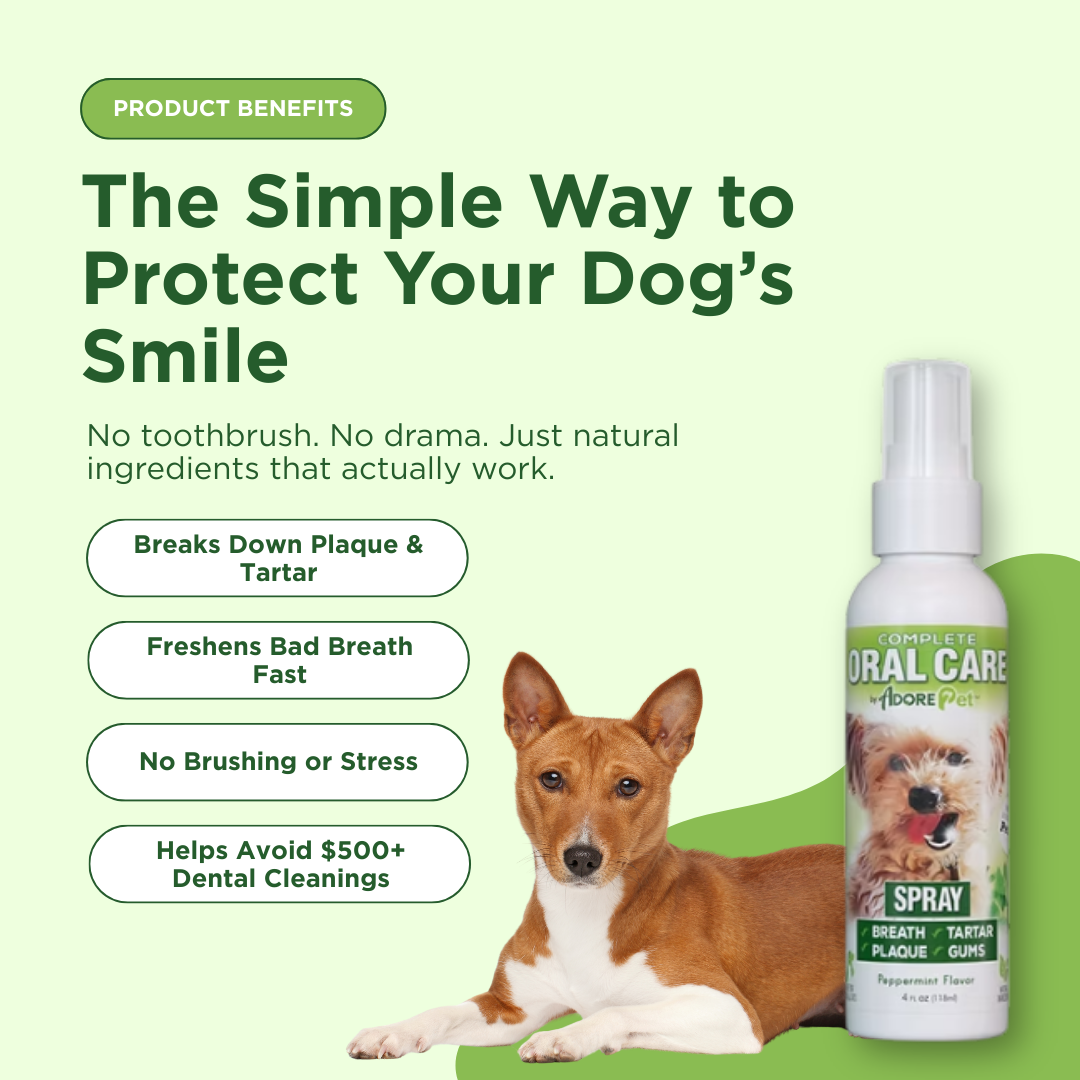 Dog Oral Care Spray – Fresh Breath & Plaque Control – alternate view 4
