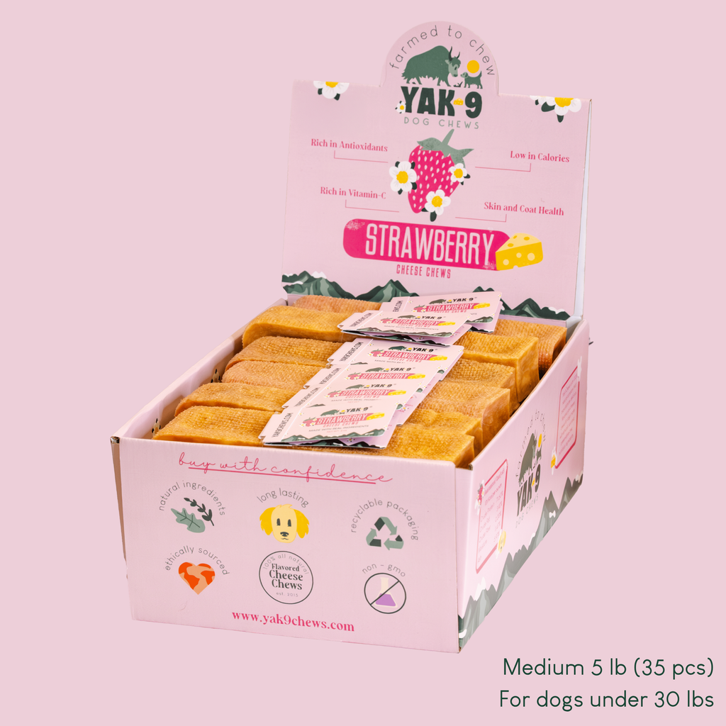 Strawberry Cheese Chews for Dogs – alternate view 8