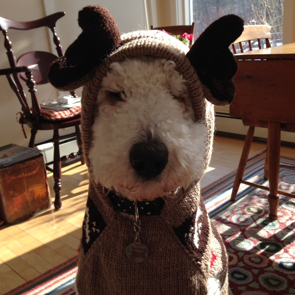 Moosey Hoodie Dog Sweater Moose Design – photo 6 of 6