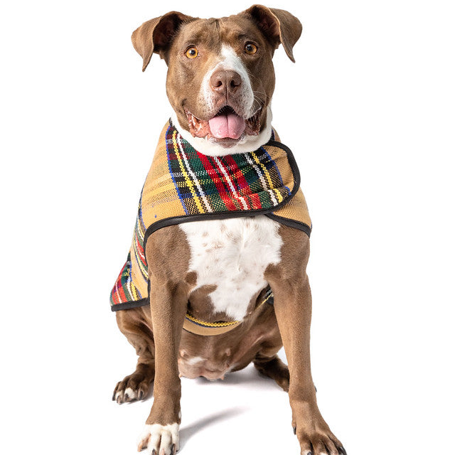Tan Tartan Plaid Blanket Dog Coat Fleece Lined with Harness Hole – photo 2 of 5