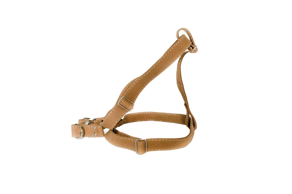 Step In Leather Dog Harness – alternate view 4