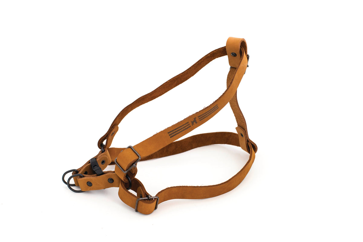 Sport Style Leather Step-In Dog Harness – front view