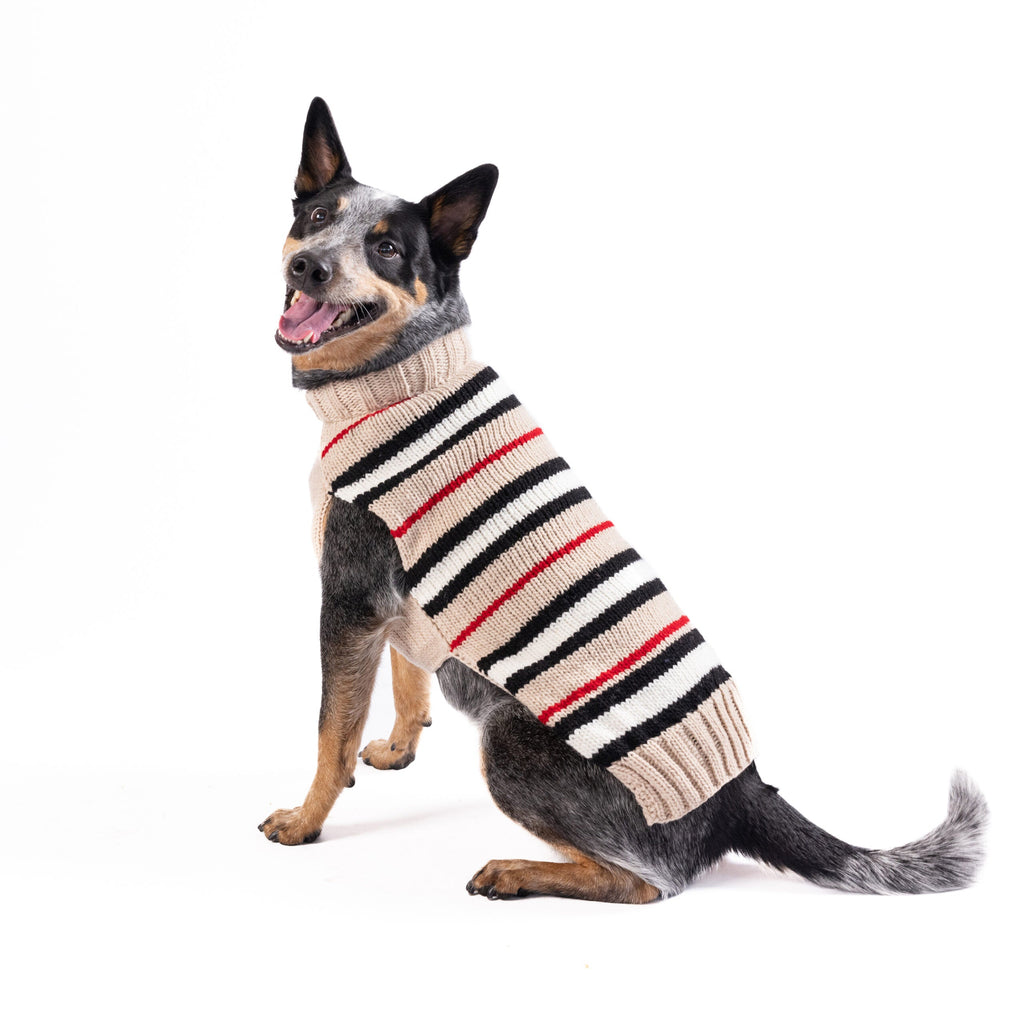 Bentley Alpaca Stripe Dog Sweater Blue and White with Leash Slit – photo 2 of 5