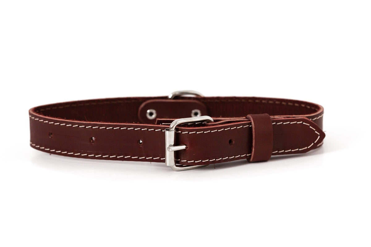 Pro Line Leather Hunting Dog Collar – alternate view 5