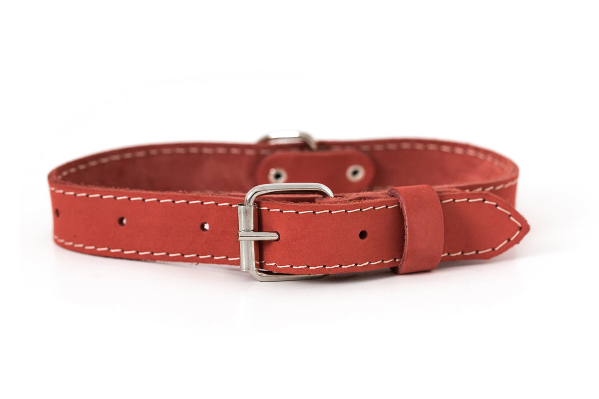 Pro Line Leather Hunting Dog Collar – alternate view 3