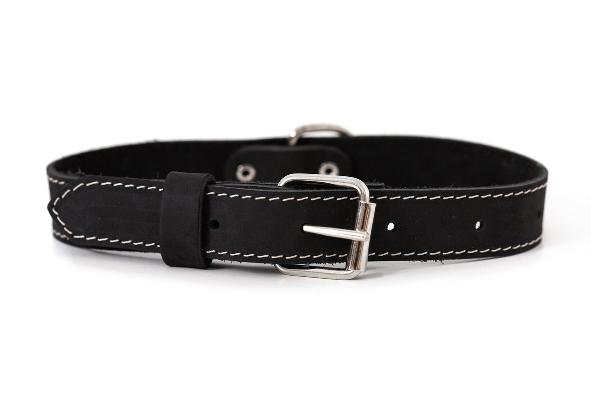 Pro Line Leather Hunting Dog Collar – alternate view 7