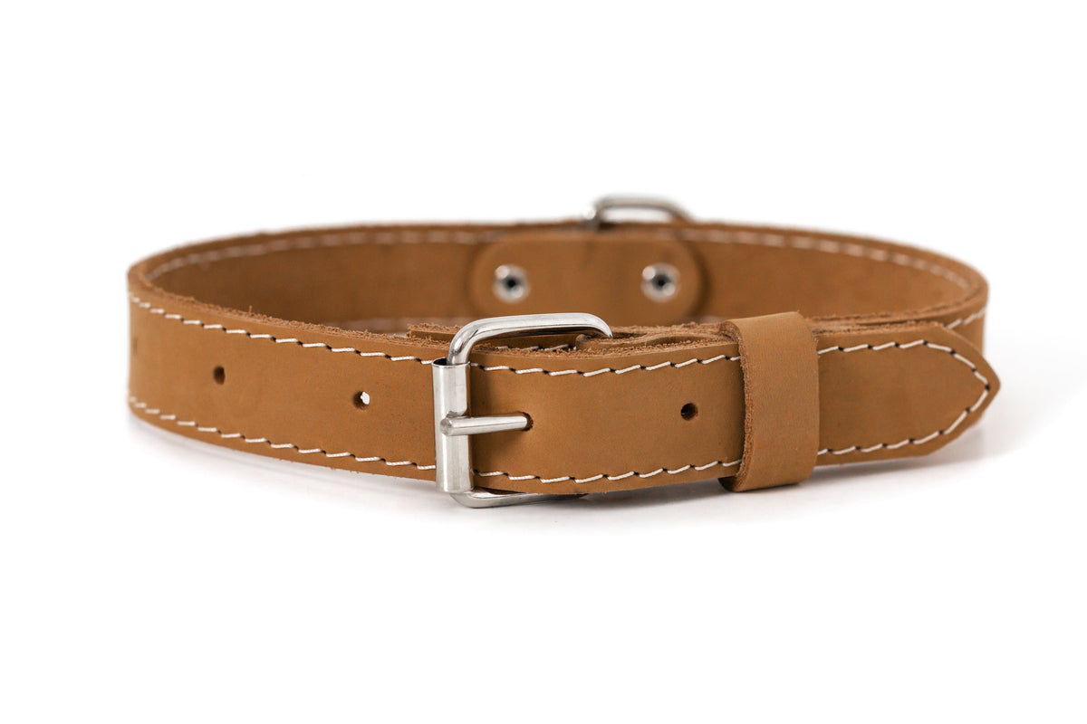 Pro Line Leather Hunting Dog Collar – alternate view 6