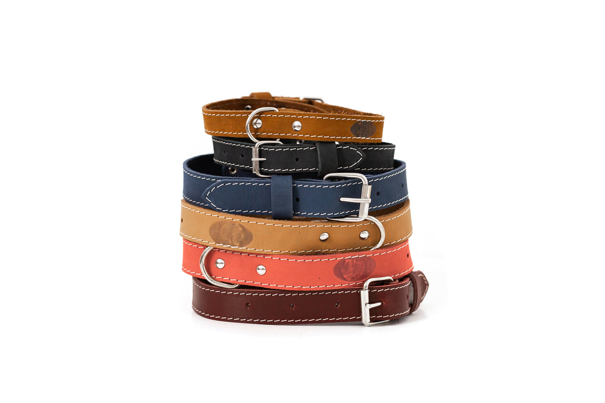 Pro Line Leather Hunting Dog Collar – front view