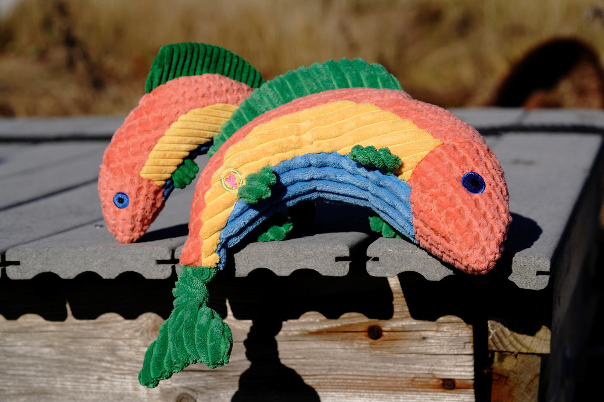 Raucous Rainbow Trout Knottie Plush Dog Toy, packaging