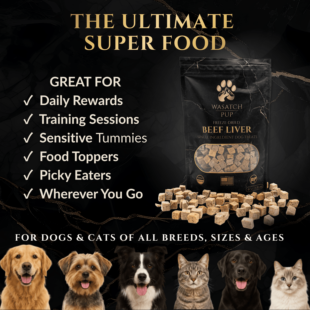 Freeze-Dried Beef Liver Dog Treats – alternate view 2
