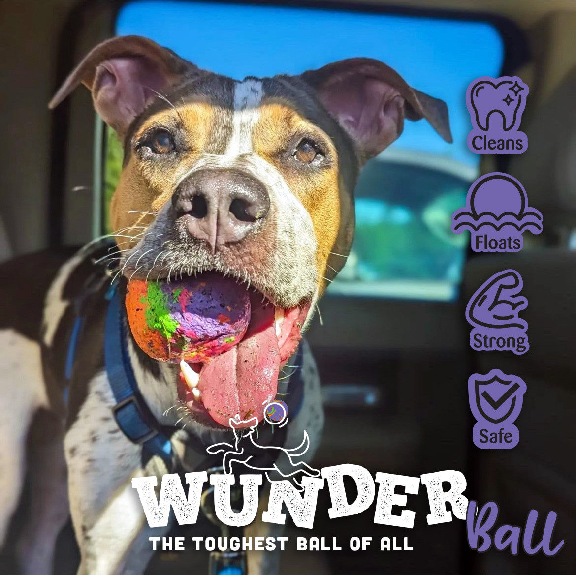 WUNDERball Dog Fetch Toy – alternate view 12