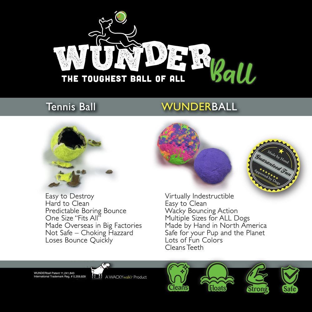 WUNDERball Dog Fetch Toy – alternate view 13