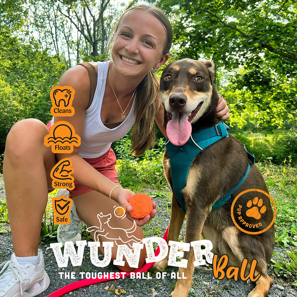 WUNDERball Dog Fetch Toy – alternate view 4