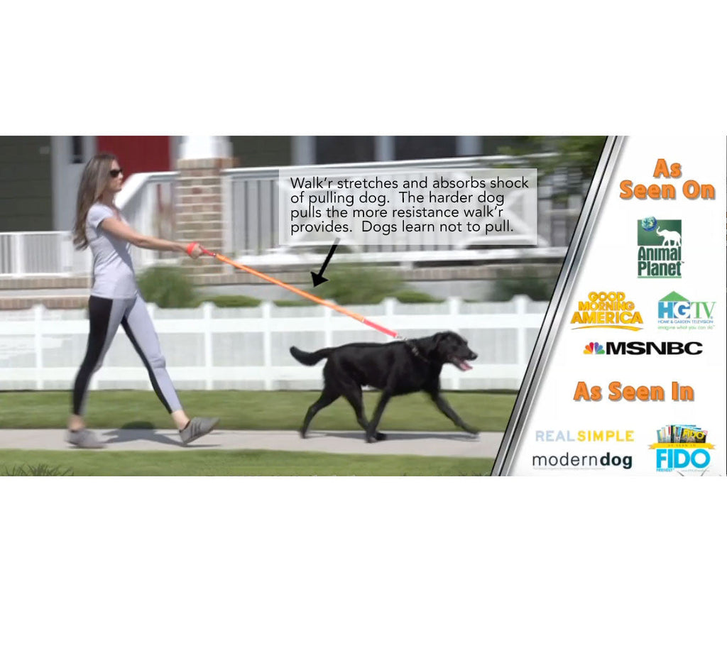 WUNDERleash – The Original No-Pull Dog Leash – alternate view 5