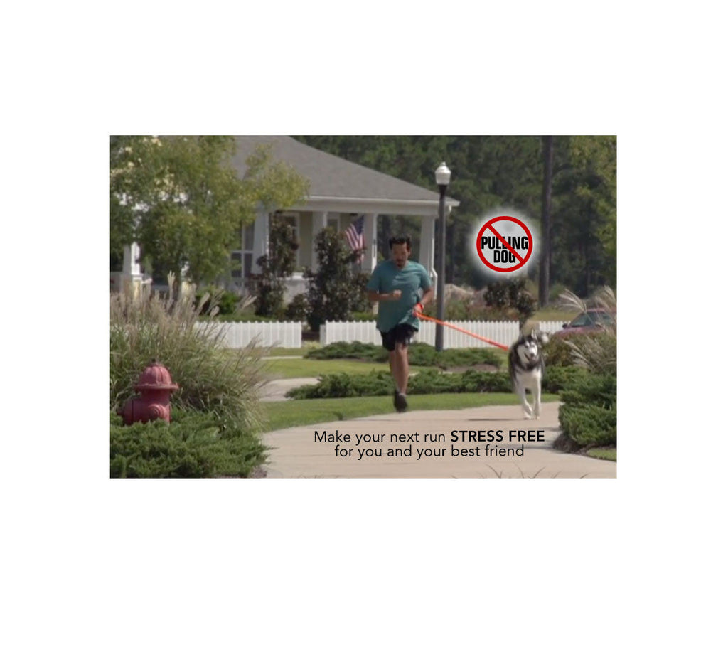 WUNDERleash – The Original No-Pull Dog Leash – alternate view 6