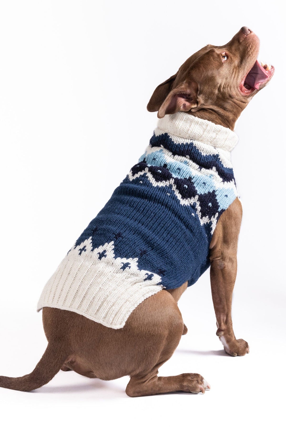 Midnight Ski Bum Dog Sweater Fair Isle with Leash Slit – photo 5 of 5