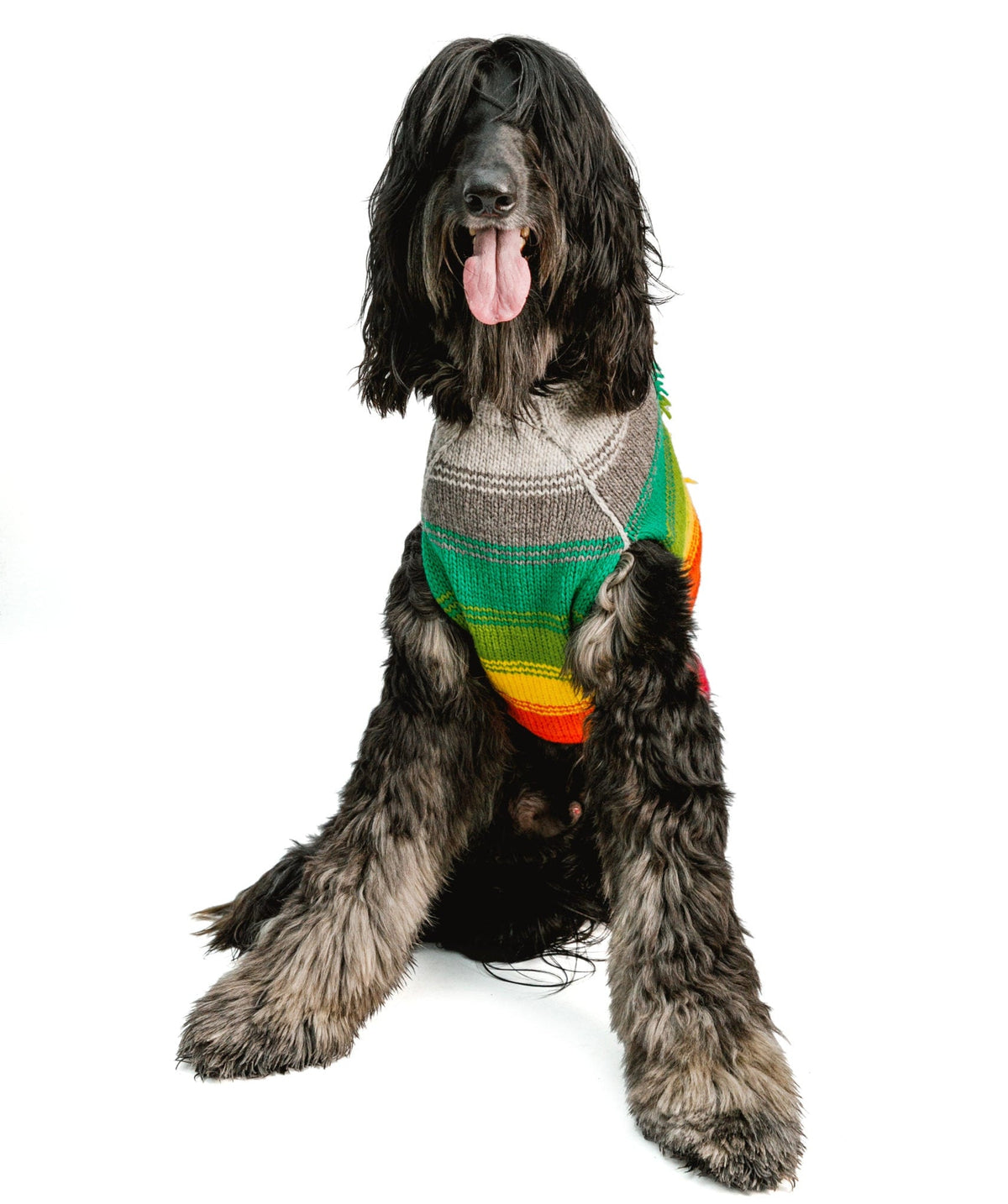Rainbow Mohawk Dog Sweater Colorful Hand Knit – photo 2 of 5