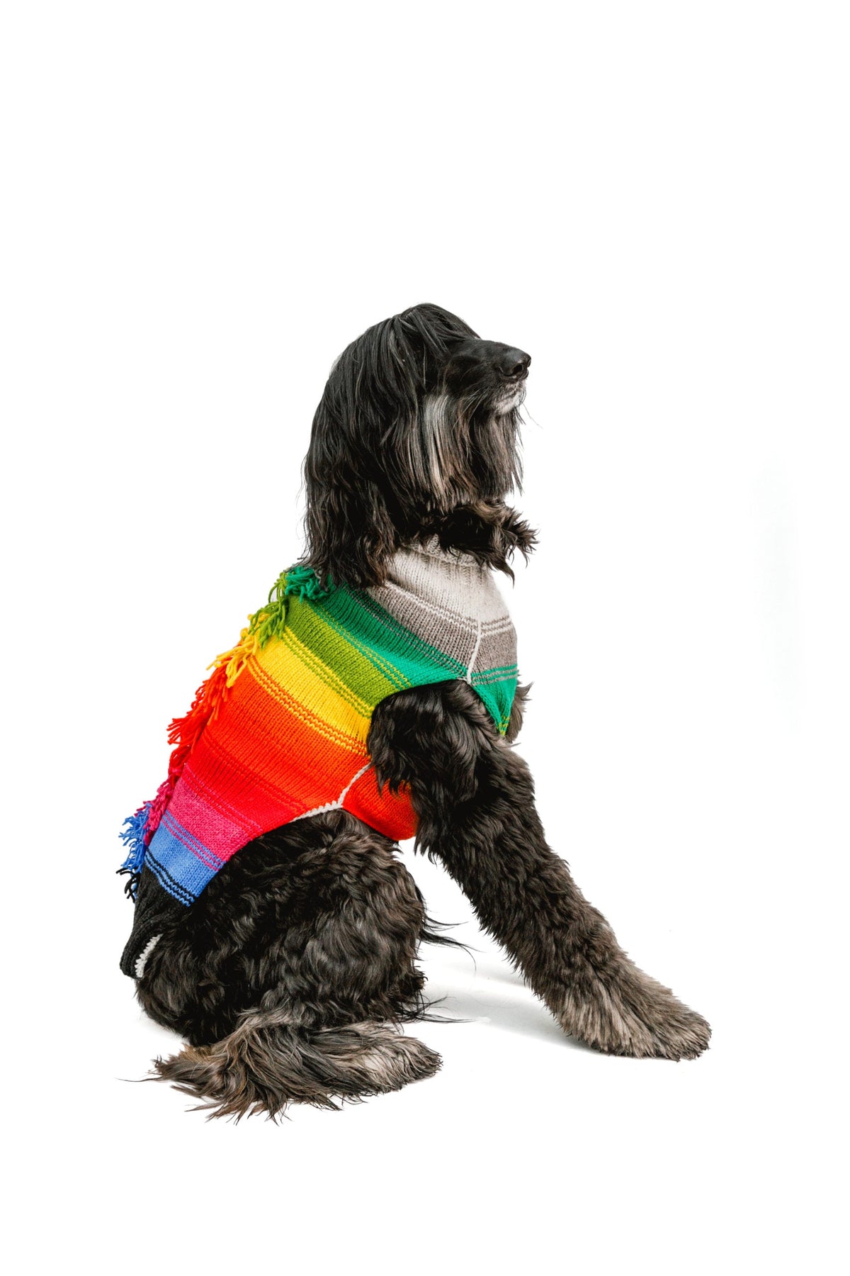 Rainbow Mohawk Dog Sweater Colorful Hand Knit – photo 5 of 5