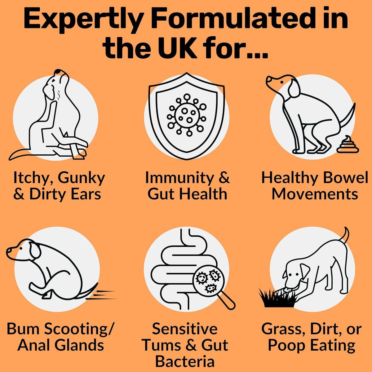 Dog Prebiotic Digestive Snacks – Intestinal Health Support – alternate view 4