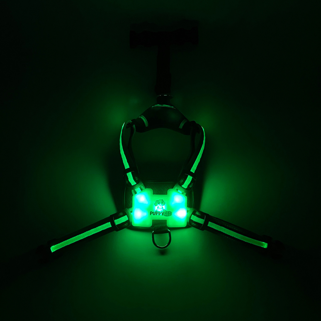 LED Dog Harness – alternate view 13
