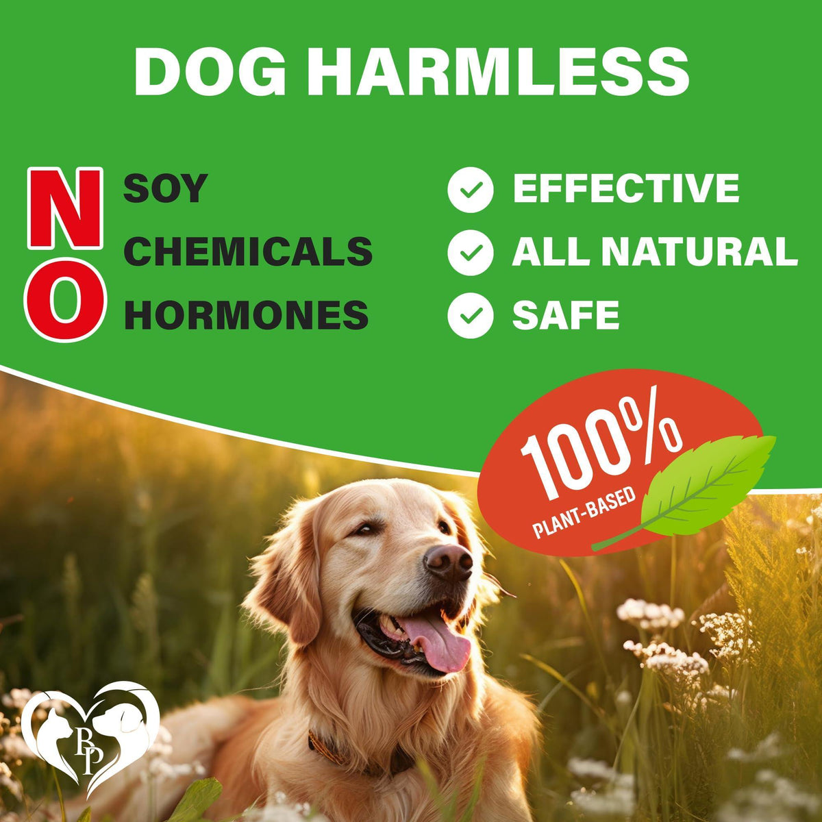 Dog Hip and Joint Chews Glucosamine Chondroitin MSM Turmeric – photo 6 of 8