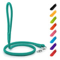 Rolled Leather Dog Leash Glamour Mint 4 ft – photo 1 of 6