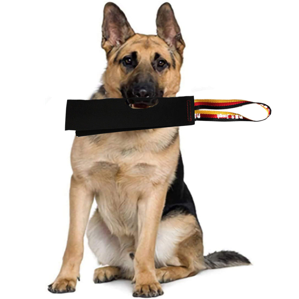 Cowhide Bite Training Toy for Dogs – Interactive – alternate view 11
